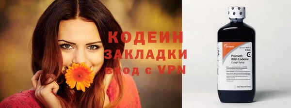 дурь Корсаков